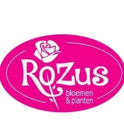 RoZus Bloemen en planten, Warnsveld openingstijden