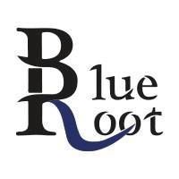 Blue Root Tattoo, Assen openingstijden