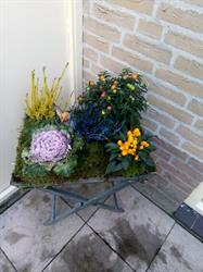 Nagelsalon Het Hofje, Hoorn openingstijden
