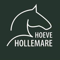 Hoeve Hollemare, Zwartewaal openingstijden
