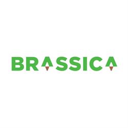 Brassica Trade BV, Dirkshorn openingstijden