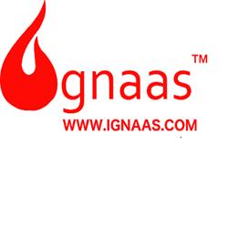 Ignaas BV, Breda openingstijden