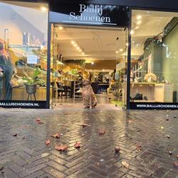 Ballij Schoenen, Emmen openingstijden