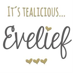 Evelief ?, Nunspeet openingstijden