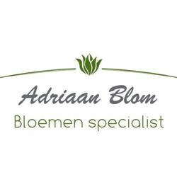 Adriaan Blom Bloemenspecialist - Loenen & Eerbeek, openingstijden