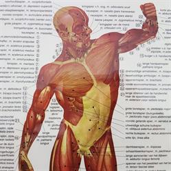 Personal Training Noord, Groningen openingstijden