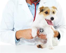 Dierenkliniek Oosterheem, Zoetermeer openingstijden
