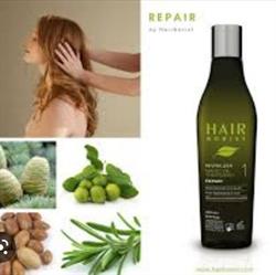 HAIR VISI, Mariahout openingstijden