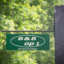 Bed & Breakfast Orvelte, openingstijden
