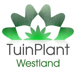 TuinPlant Westland, De Lier openingstijden