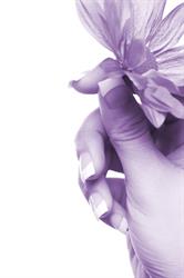 La belle Fleur Nails, Etten-Leur openingstijden