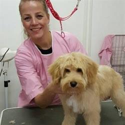 Trimsalon De Natuurlijke Hond, Rockanje openingstijden