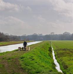 HondsBeste.nl, Velddriel openingstijden