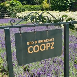 Bed & Breakfast Coopz, Doetinchem openingstijden