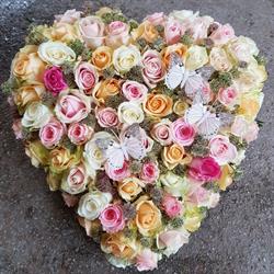 Sanflowers, Westzaan openingstijden