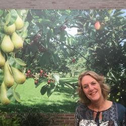 Cozy Bed & Breakfast, Elst openingstijden