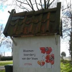Bloemenboerderij Etten, openingstijden