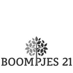 Boompjes 21, Strijen openingstijden