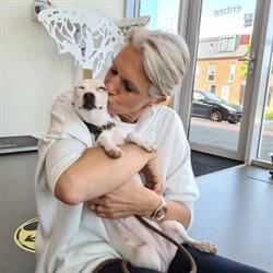 Dierenkliniek Animalis, Delft openingstijden