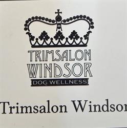 Trimsalon Windsor, Geldrop openingstijden