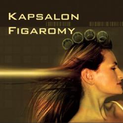 Kapsalon Figaromy, Bladel openingstijden