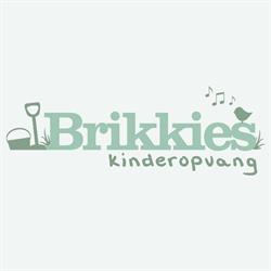 Brikkies kinderopvang, Heesch openingstijden