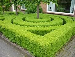 Haag-Planten.nl, Lunteren openingstijden