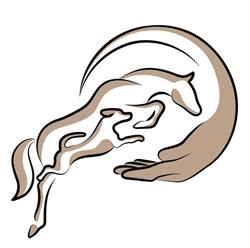 Vital Equine I Judith van Neer I Paardenosteopaat EDO & Hondenosteopaat, Reuver openingstijden