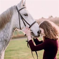Paardencrematorium Limburg, Heerlen openingstijden