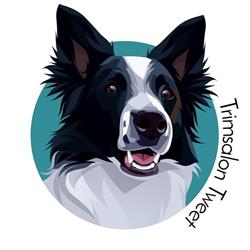 Trimsalon Tweet, Bergeijk openingstijden
