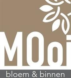 MOoi bloem & binnen, Brakel openingstijden