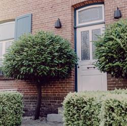 B&B Calidier, Cadier en Keer openingstijden
