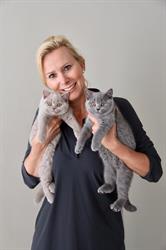 Brits Korthaar Cattery My-O-My, Apeldoorn openingstijden