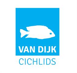 Van Dijk Cichlids, Zevenbergschen Hoek openingstijden