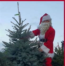 Kerstbomenhof, Terheijden openingstijden
