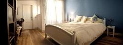 The Blue Sheep B&B, Amsterdam openingstijden