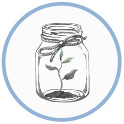Little Plant Pantry, Amsterdam openingstijden