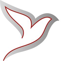 Grace Church, Amersfoort openingstijden