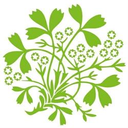 Hoveniersbedrijf het Gooi, Blaricum openingstijden