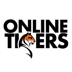 Online Tigers - SEO specialist in Leiden, openingstijden