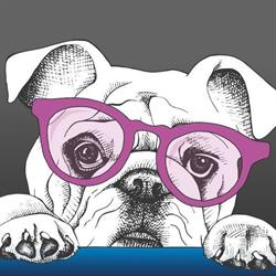 Maildogs, Tilburg openingstijden