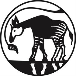 Okapi Recordings, Rotterdam openingstijden
