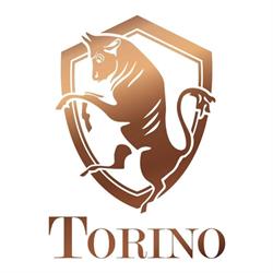 Restaurant Torino, Valkenswaard openingstijden
