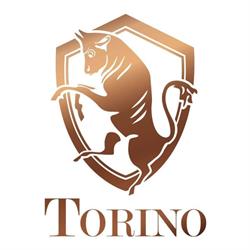 Restaurant Torino, Valkenswaard openingstijden