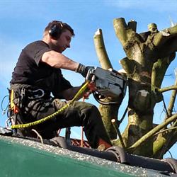 Jagtenberg Hovenier en Boomverzorger, Zeist openingstijden