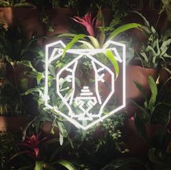 BlackBear Ink, Eindhoven openingstijden