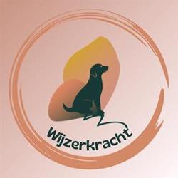 Wijzerkracht - Psychodynamische therapie & training Sliedrecht, openingstijden