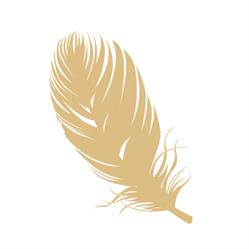The Feather store, Schiedam openingstijden
