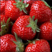 De Zeute Aardbei, Noorbeek openingstijden