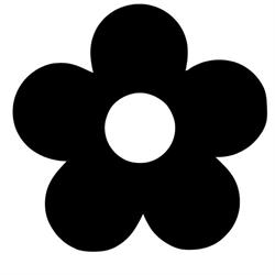 Hello Daisy, Bussum openingstijden